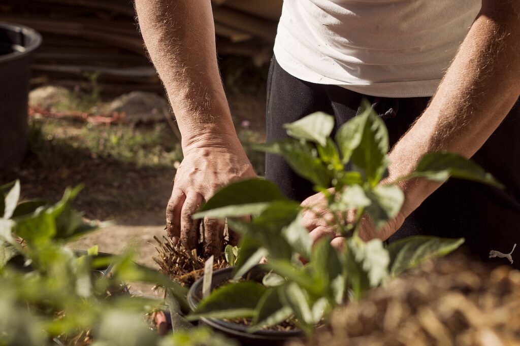 test d'humidité plantes