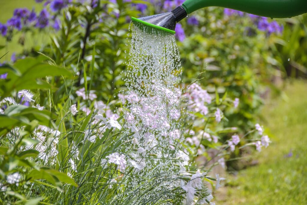 Arrosage jardin été